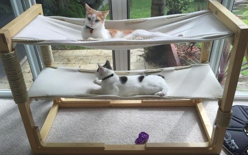 DIY No Sew Cat Hammock