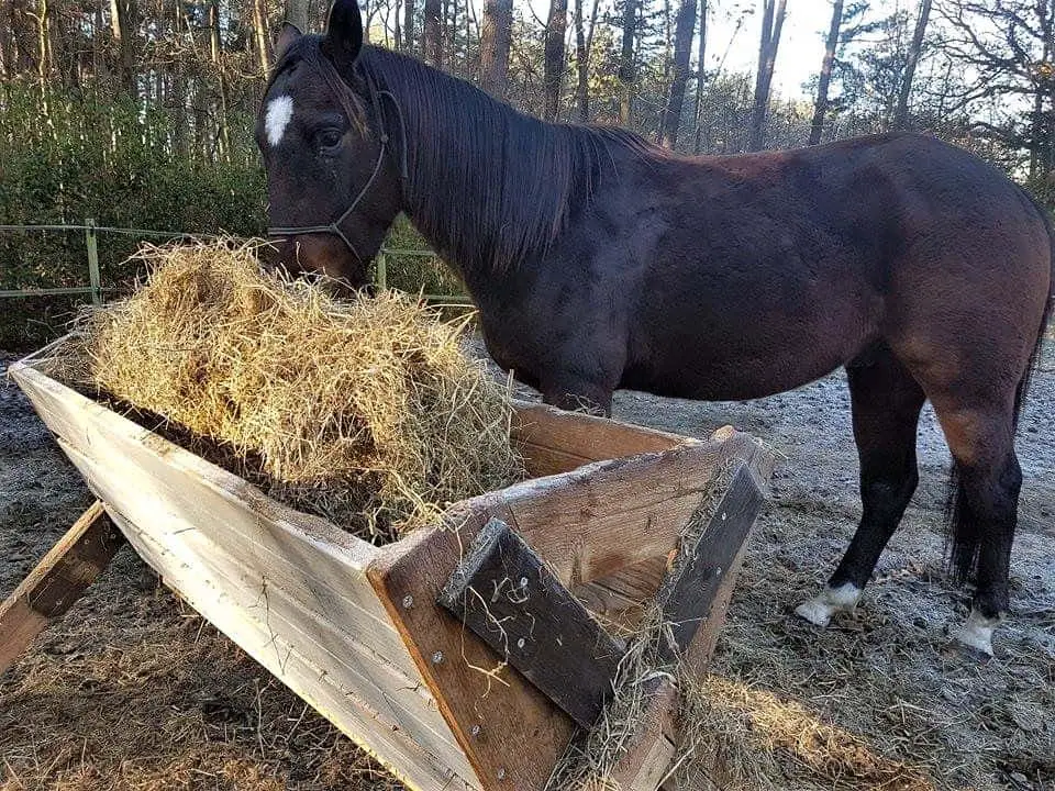 DIY Old Wood Outdoor Feeder
