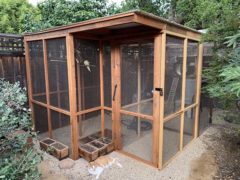 DIY Pet Bird Room Ideas
