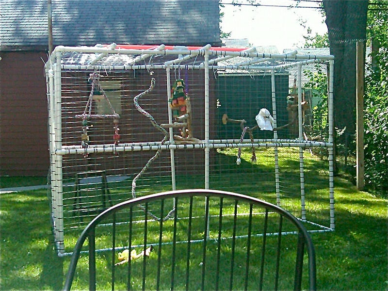 DIY Pet Bird Room Ideas