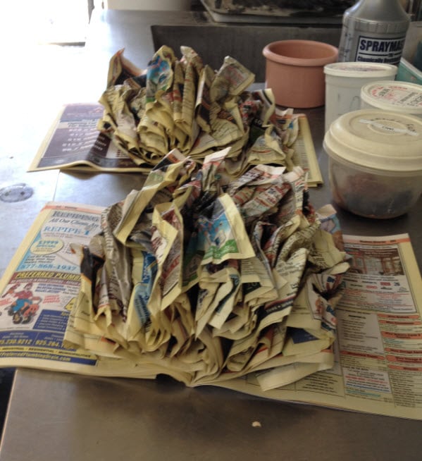DIY Phonebook Foraging Toy