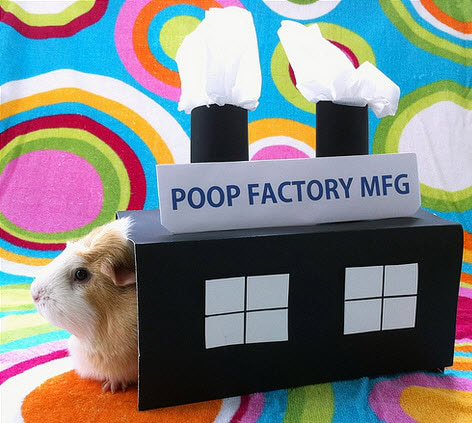 DIY Poop Factory Costume