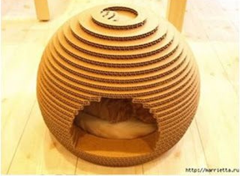 DIY Project For Your Cat