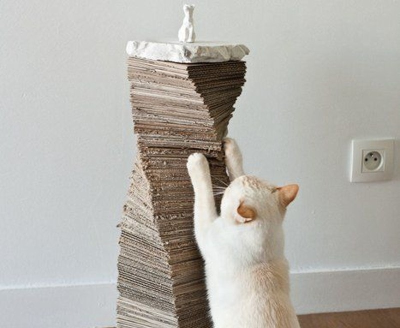 DIY Project For Your Cat