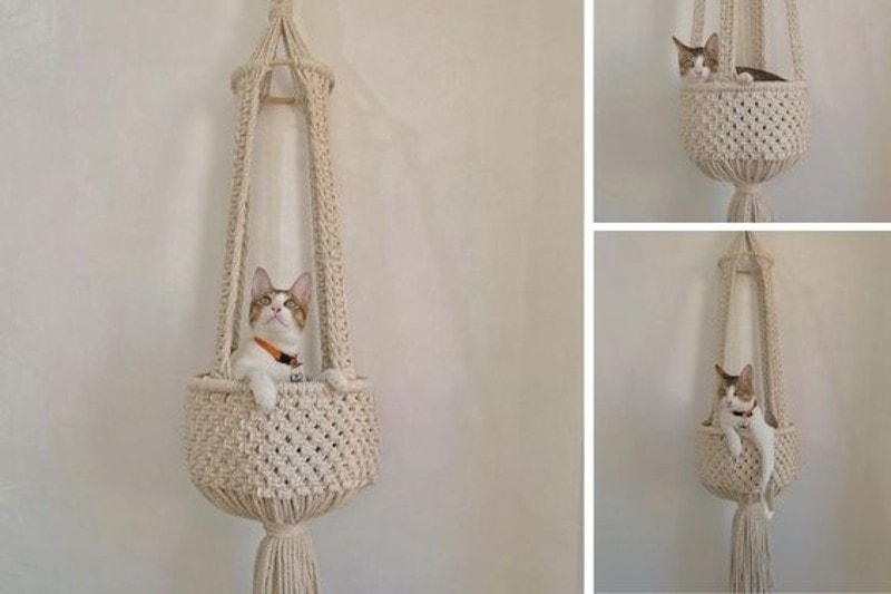 DIY Project For Your Cat