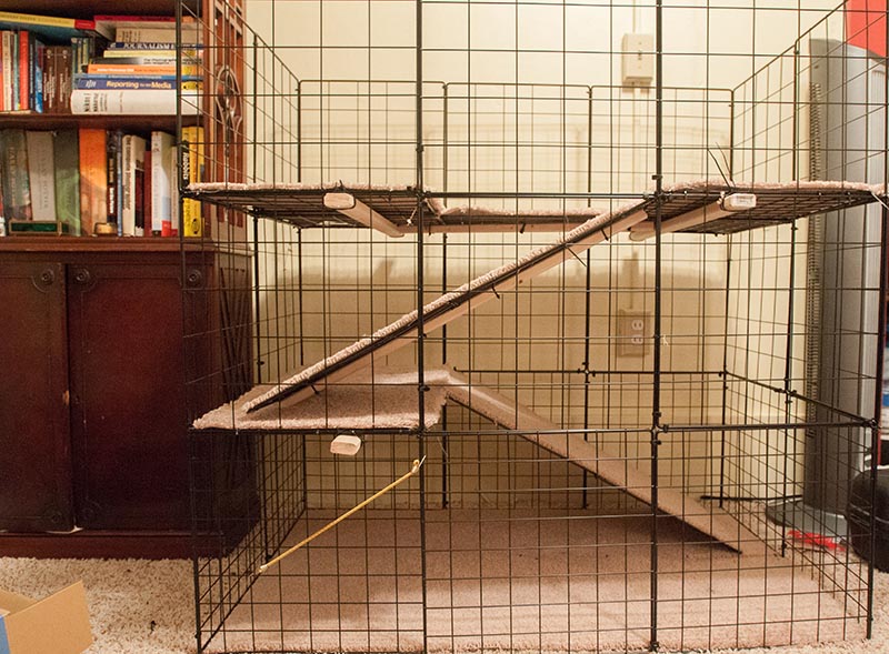 DIY Rabbit Hutch Plans