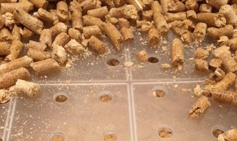 DIY Rabbit Litter Box