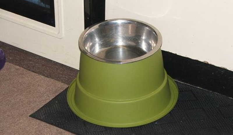 DIY Raised Cat Bowl