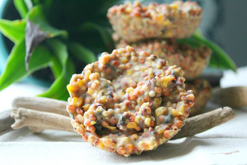 DIY Suet Cakes