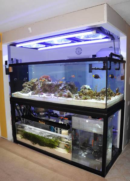 DIY Tank stands