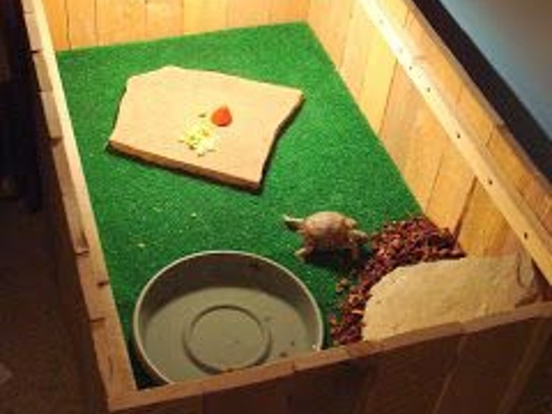 DIY Tortoise Table