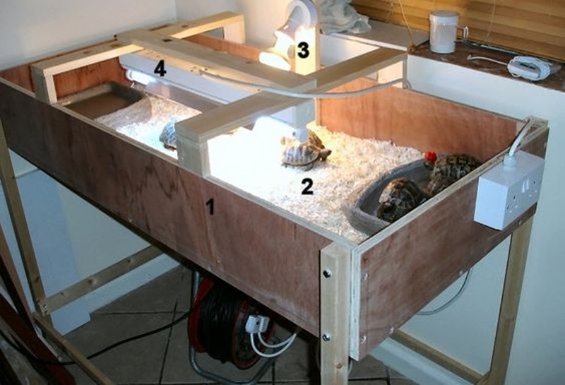 DIY Tortoise Table