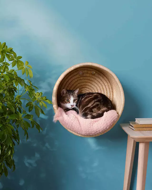 DIY Wall Bed
