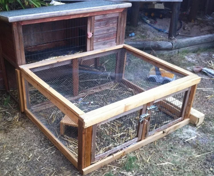 DIY guinea pig cage