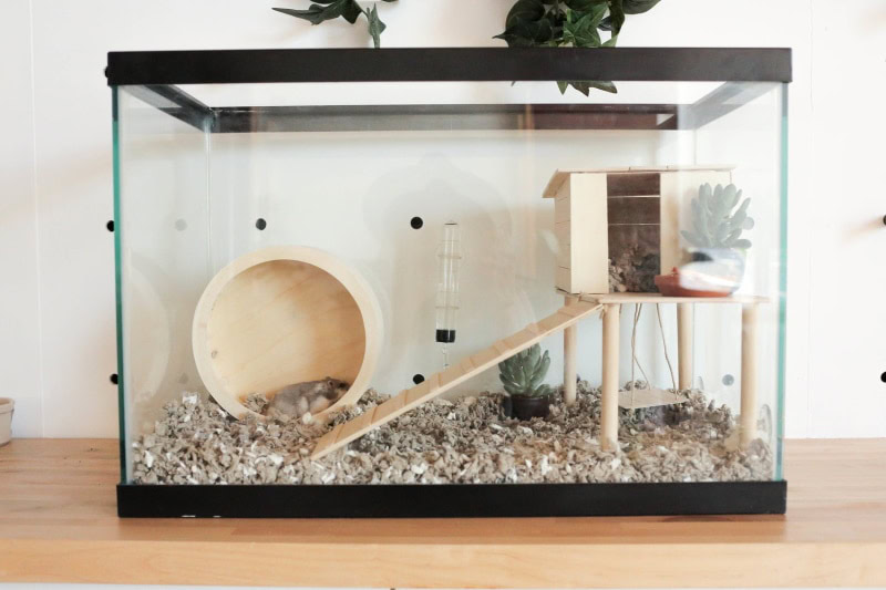 DIY hamster cage