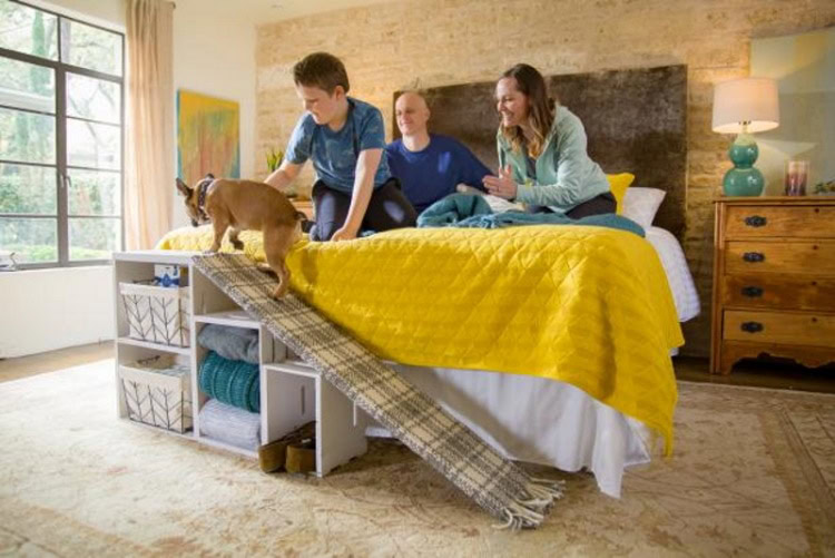 DIY pet ramp