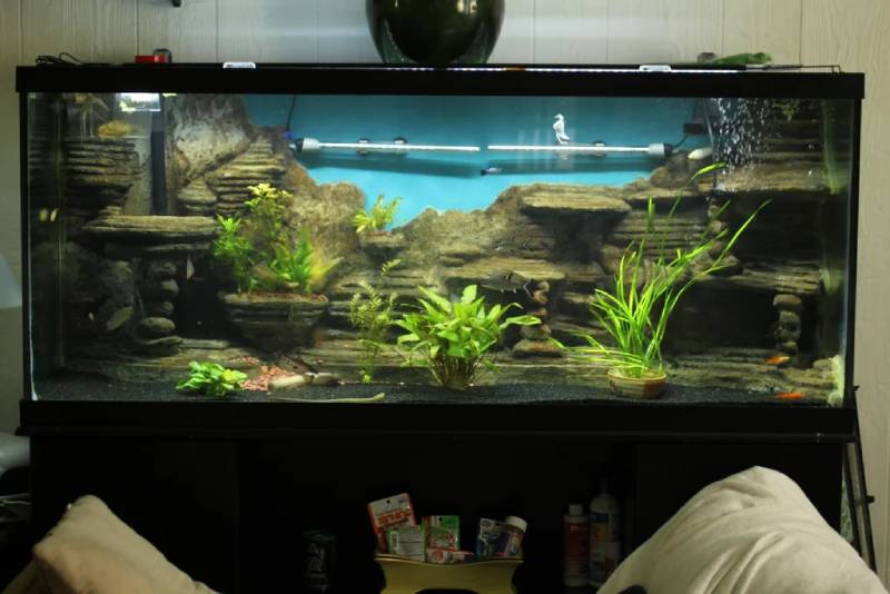 DIY 3D Aquarium Background