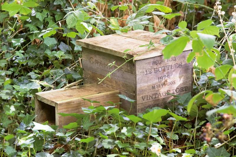 DIY hedgehog house
