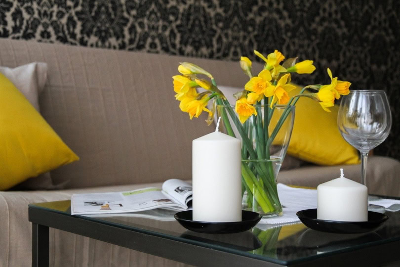Daffodils arranged in a vase