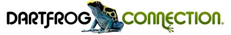 Dart Frog Connection