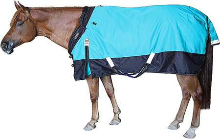 Derby Originals Windstorm Nordic
