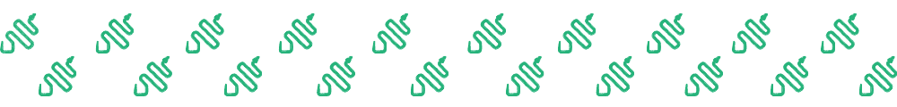 Divider-snake