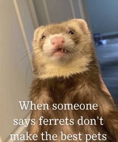 Don’t Be Ridiculous