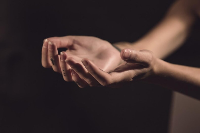 Dry hands held out