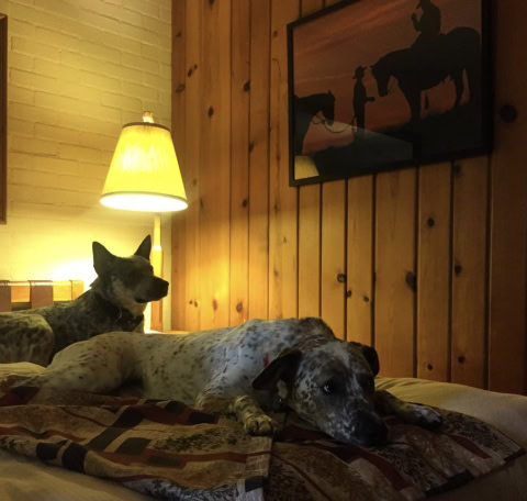 Dude Rancher Lodge