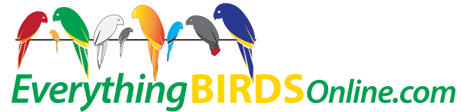 Everything Birds Online