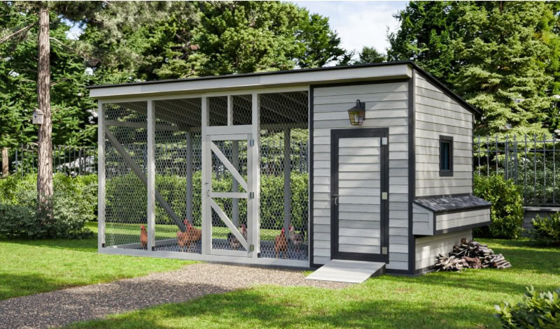 Easy Coops - coop with chickens