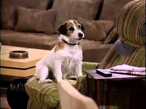 Eddie the dog from Frasier