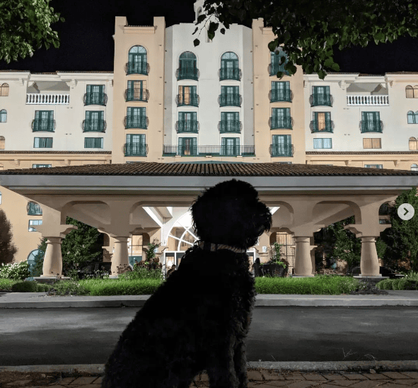 Embassy Suites by Hilton Indianapolis North