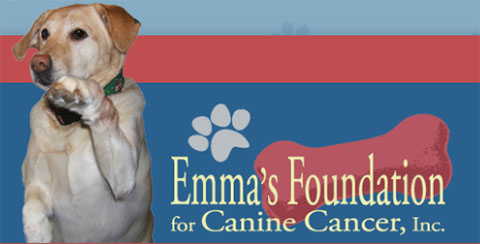 Emma’s Foundation for Canine Cancer 1