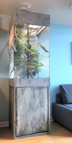 Enclosure _ Cage for my chameleon - DIY