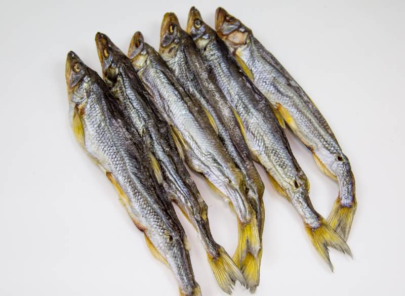 European smelt