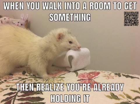 Every. Single. Time.