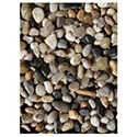 Exotic Pebbles