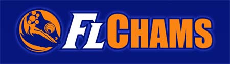 FL Chams