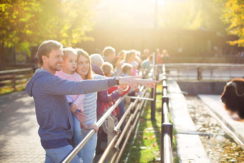Family with child in zoo