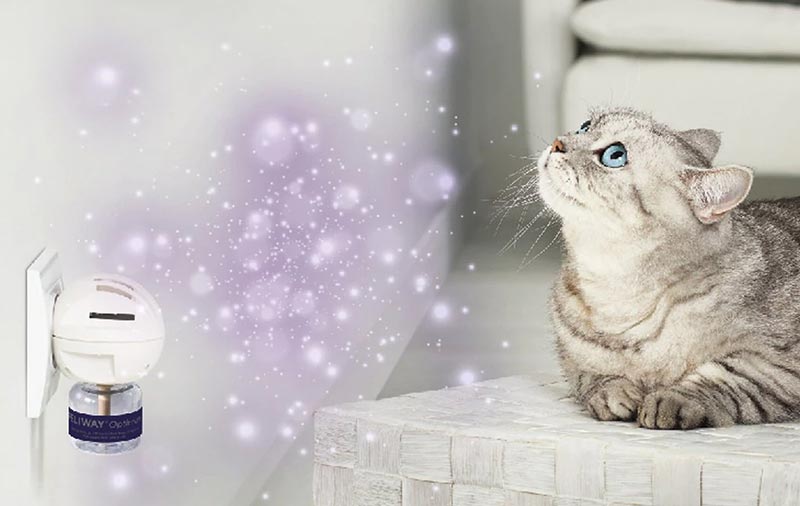 Feliway Optimum Enhanced Calming Pheromone 30 Day Cat Diffuser Refill
