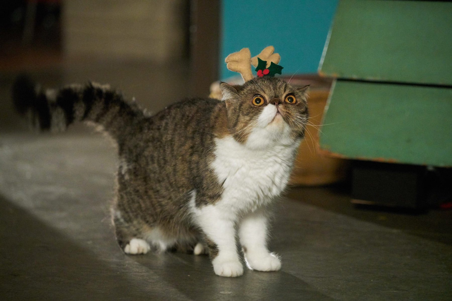 Ferguson FOX's 'New Girl' - Season Six