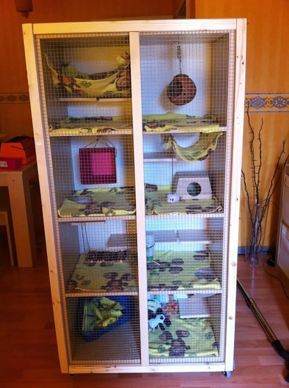 Ferret Cage