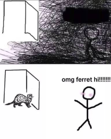 Ferrets Make Everything Better