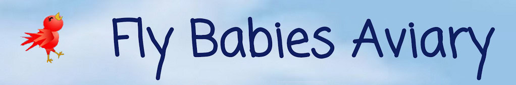 Fly Babies Aviary