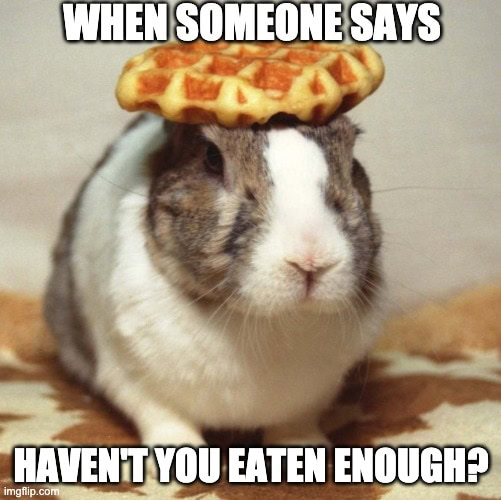 waffle rabbit meme