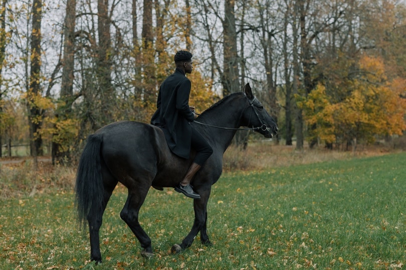 Freasian horse with rider