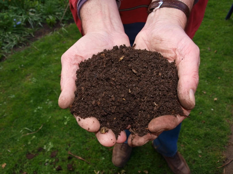 Fresh compost from the ground