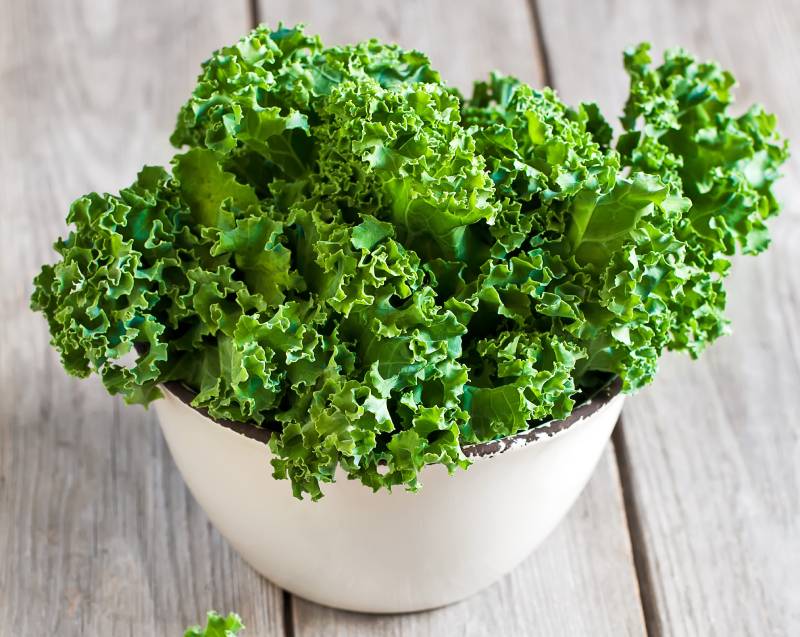 Fresh green kale in ceramic bowl
