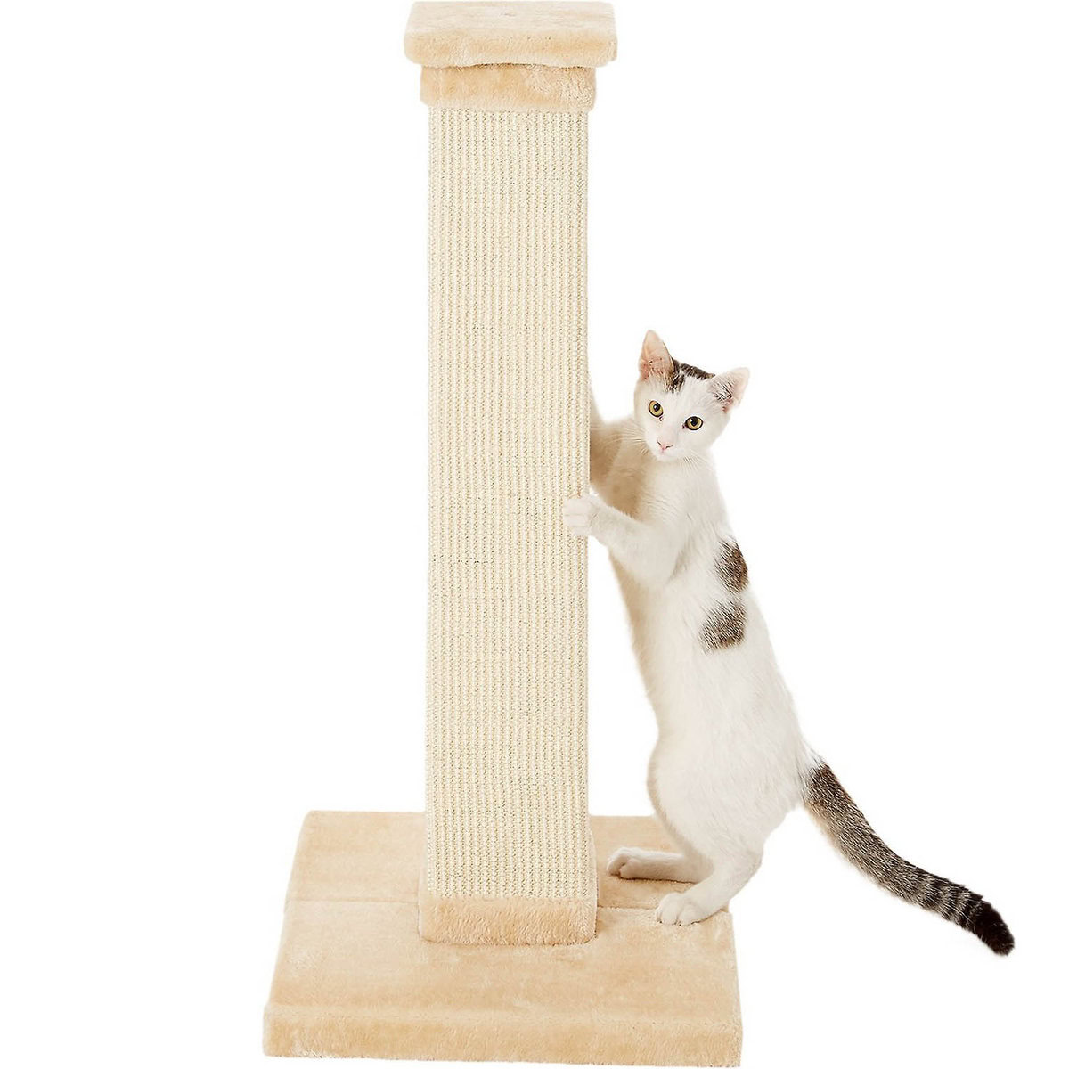 Frisco-33.5-in-Sisal-Cat-Scratching-Post